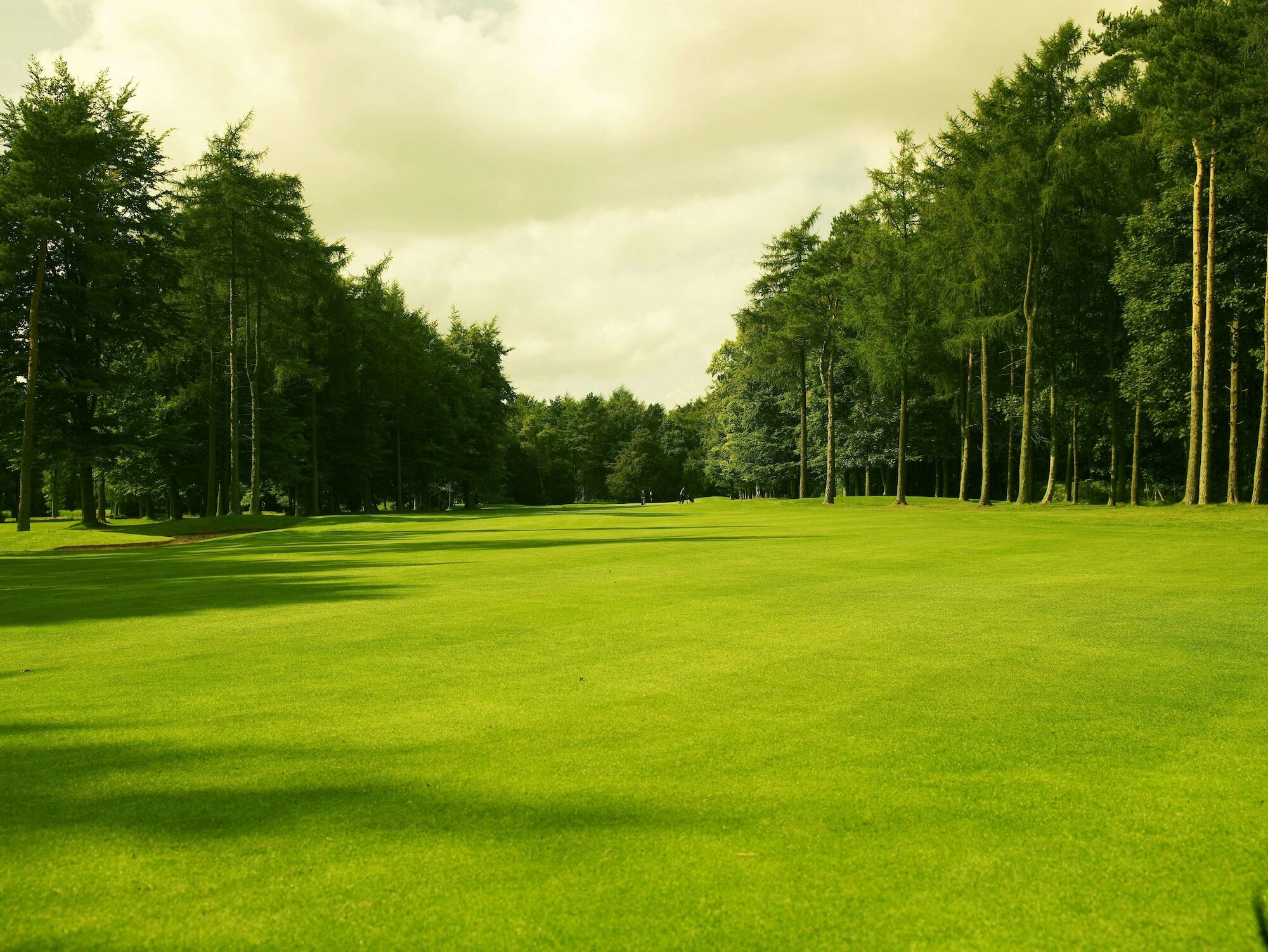 Forest Pines Hotel, Spa & Golf Resort Brigg Extérieur photo
